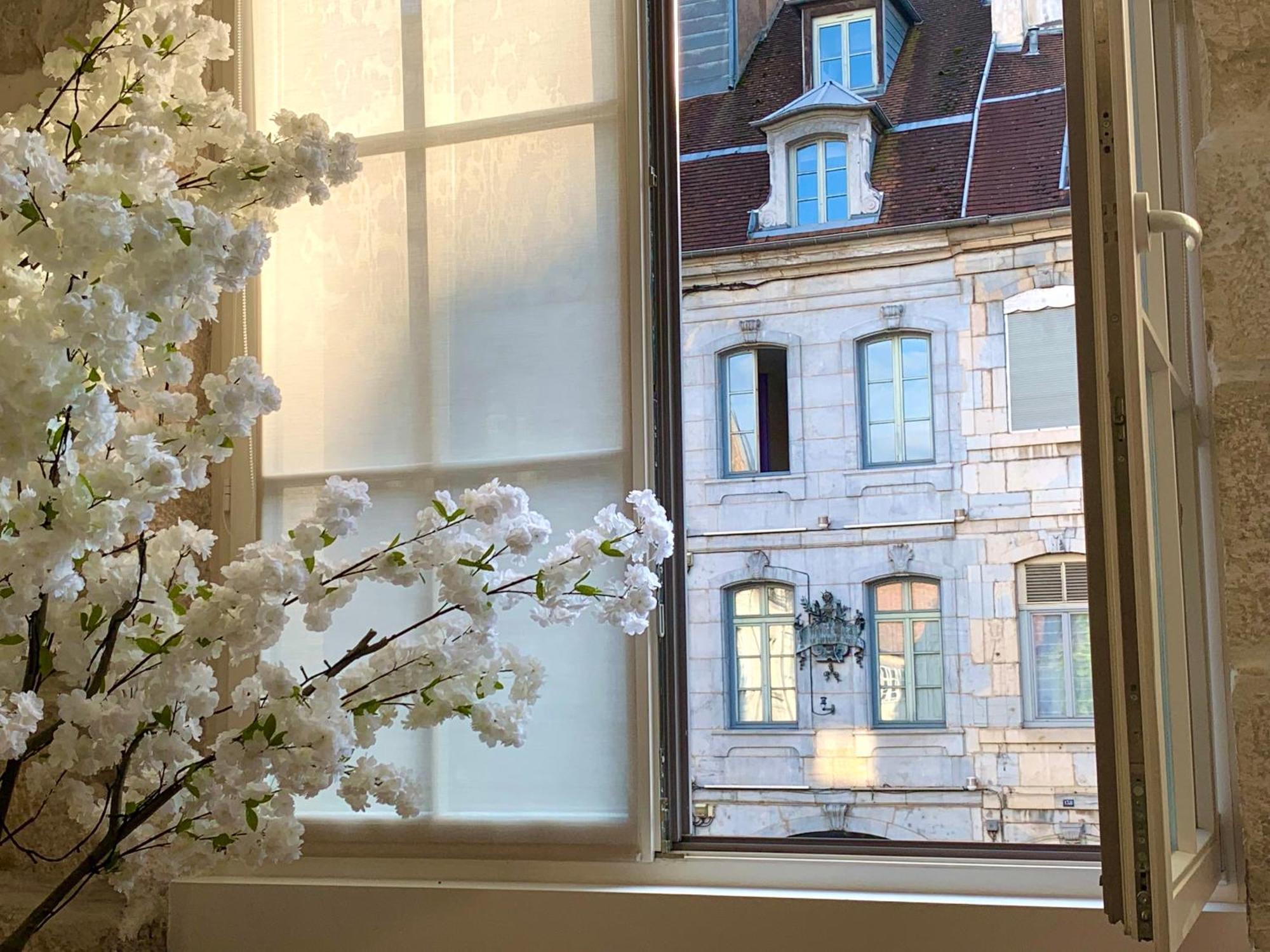Les Fabuleux Appartements Du Coeur De Ville - Place Victor Hugo Besançon Extérieur photo